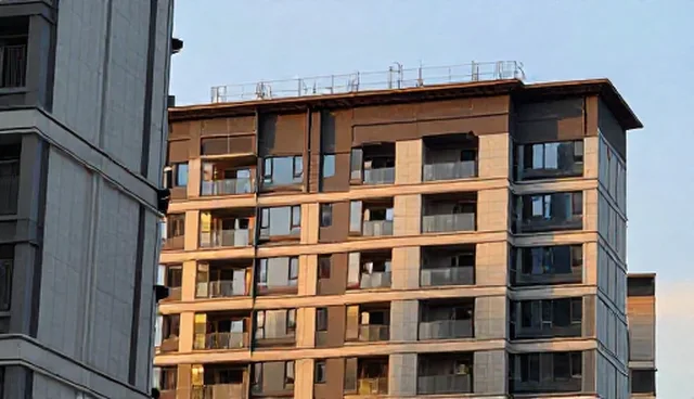 食品研发服务:应用场景分析与常见问题处理
